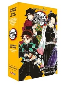 Demon slayer Tome 15 : Roman jeunesse Tome 6