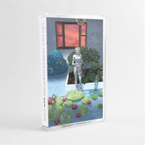 I Want The Door To Open