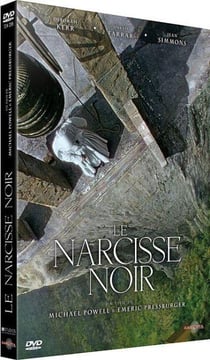 Le Narcisse noir