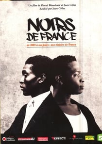 Noirs de France : De 1889 à nos jours - 130 ans d'histoires partagées