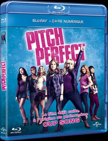 Pitch Perfect (The Hit Girls)