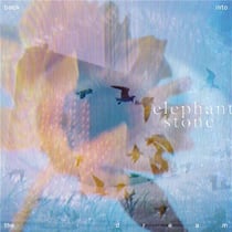 Back Into The Dream - édition gatefold 180g