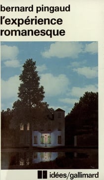 L'expérience romanesque