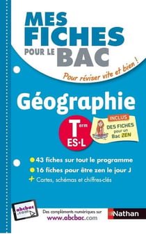 MES FICHES ABC DU BAC Tome 17 : géographie - terminale ES - L (édition 2018)