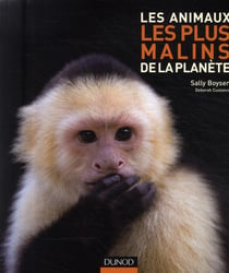 Les animaux les plus malins de la planète