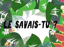 Le savais-tu ?