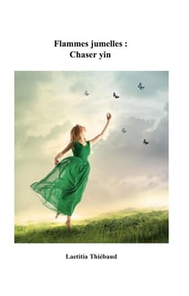 Flammes jumelles : chaser yin