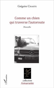 Comme un chien qui traverse l'autoroute