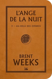 L'ange de la nuit Tome 3 : au-delà des ombres