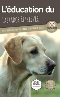 L'éducation du Labrador Retriever : toutes les astuces pour un Labrador Retriever bien éduqué