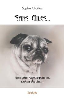 Sans Ailes... : Parce qu'un Ange ne porte pas toujours des ailes...