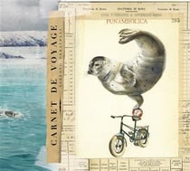 Carnet de voyage - otarie