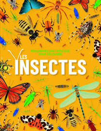 Mon premier documentaire pour découvrir : Les Insectes