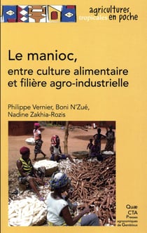 Le manioc, entre culture alimentaire et filière agro-industrielle