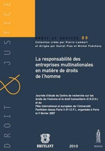 La responsabilité des entreprises multinationales en matière des droits de l'homme