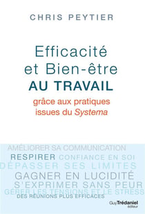 Efficacité et bien être au travail - grâce aux pratiques issues du Systema