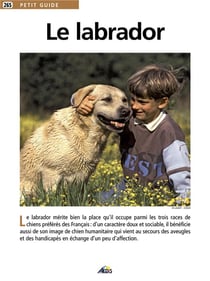 Le labrador