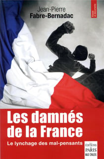 Les damnés de la France - entre lynchage médiatique et violences au quotidien