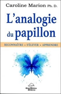 L'analogie du papillon - reconnaître, s'élever, apprendre