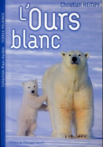 L'ours blanc