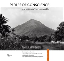 Perles de conscience - à la rencontre d'êtres remarquables