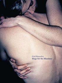 Elegy for the mundane