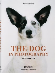 The dog in photography 1839today