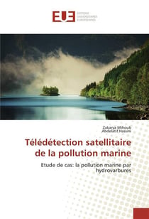 Teledetection satellitaire de la pollution marine