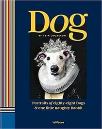 Portraits of eigthy-eight dogs & one little naughty rabbit