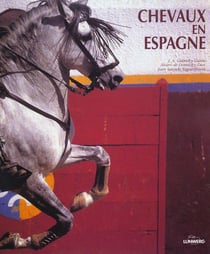 Chevaux d'espagne
