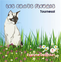 Les chats fleuris : tournesol