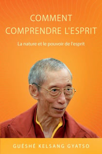 Comment comprendre l'esprit - la nature et le pouvoir de l'esprit
