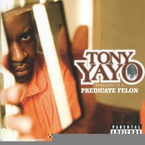 Thoughts of a predicate felon
