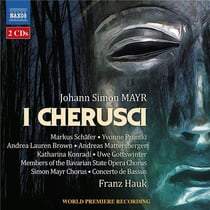 I cherusci