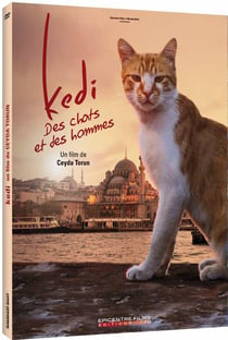 Kedi - Des chats et des hommes