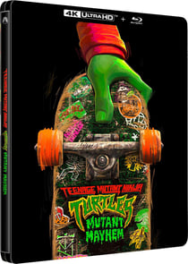 Ninja Turtles : Teenage Years
