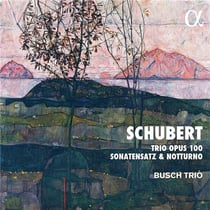 Trio opus 100, sonatensatz & notturno