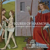 Figures of harmony, songs of codex Chantilly