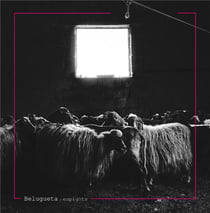 Belugueta - Espigots