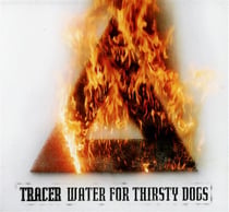 Water for thirsty dogs