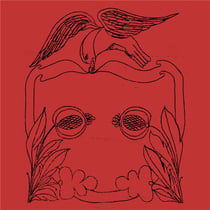 Boiling Wells (Demos '19 - '22)