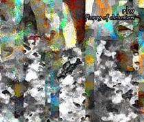 Flurry of delusion
