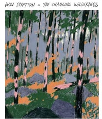 The Changing Wilderness