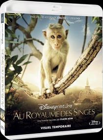 Au Royaume des Singes