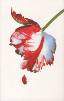 New moon - white cover