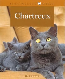 Chartreux