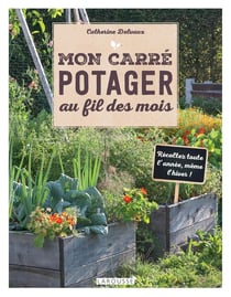 Mon carré potager au fil des mois