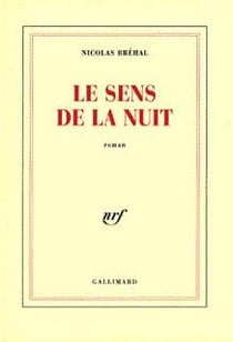 Le sens de la nuit roman