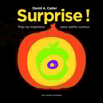 Surprise ! pop-up ingénieux pour petits curieux