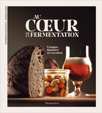 Au coeur de la fermentation : histoire, usages et recettes